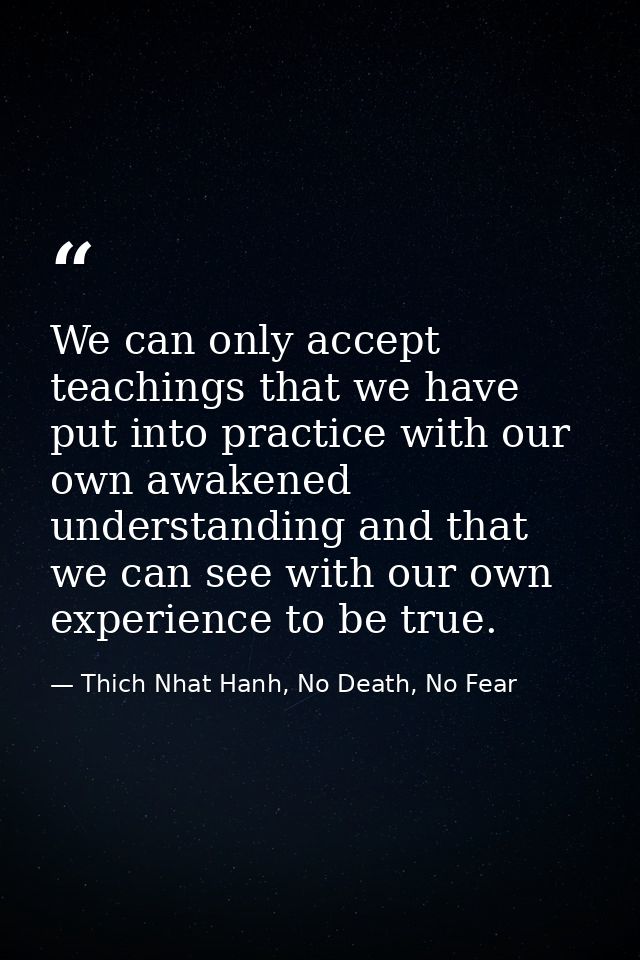 We can only accept teachings that we have put into practice with our own awakened understanding and that we can see with — Thich Nhat Hanh, No Death, No Fear