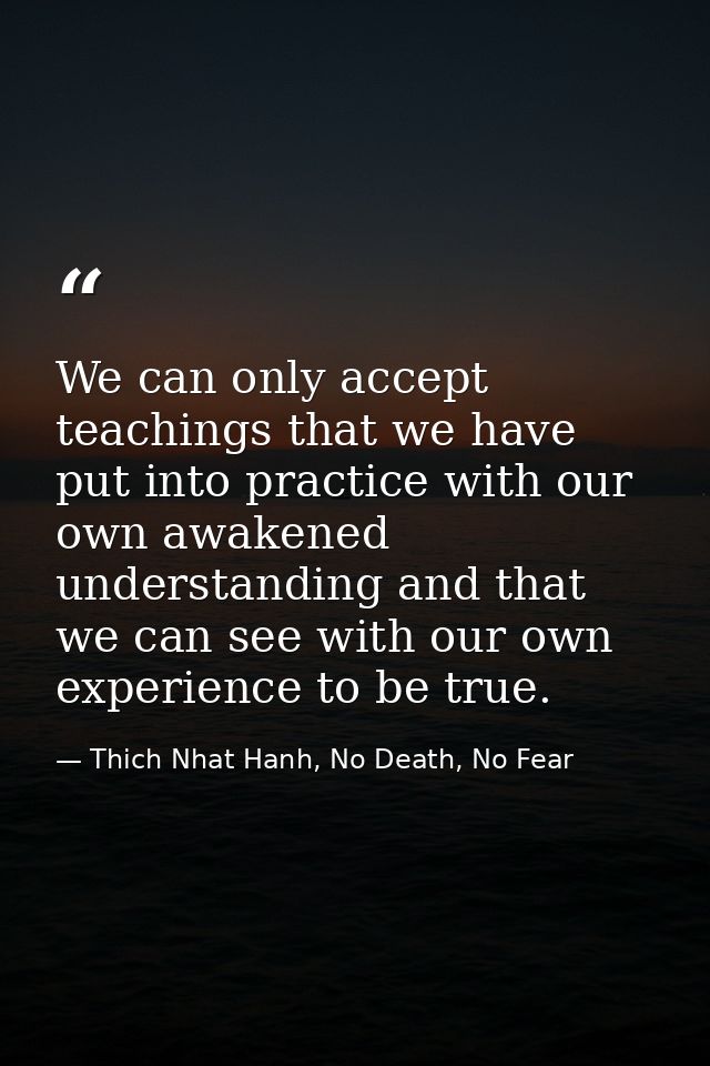 We can only accept teachings that we have put into practice with our own awakened understanding and that we can see with — Thich Nhat Hanh, No Death, No Fear