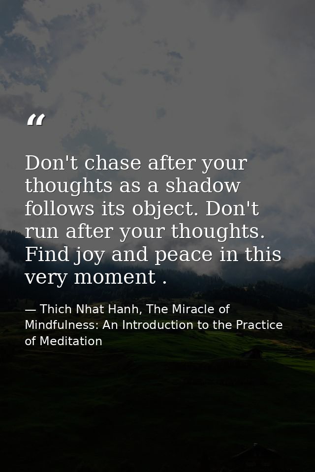 Don't chase after your thoughts as a shadow follows its object. Don't run after your thoughts. Find joy and peace in thi — Thich Nhat Hanh, The Miracle of Mindfulness: An Introduction to the Practice of Meditation