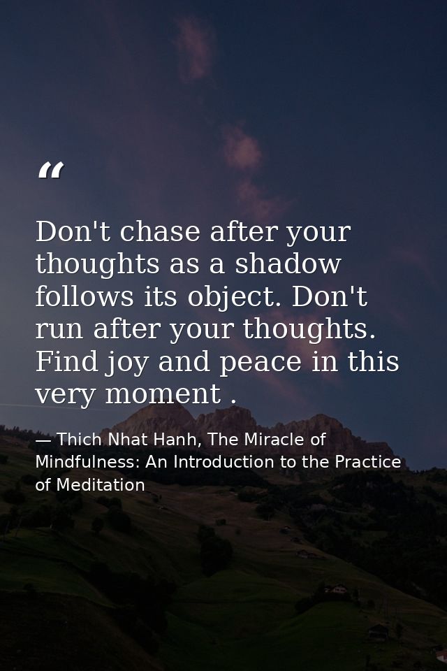 Don't chase after your thoughts as a shadow follows its object. Don't run after your thoughts. Find joy and peace in thi — Thich Nhat Hanh, The Miracle of Mindfulness: An Introduction to the Practice of Meditation