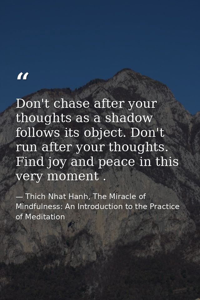Don't chase after your thoughts as a shadow follows its object. Don't run after your thoughts. Find joy and peace in thi — Thich Nhat Hanh, The Miracle of Mindfulness: An Introduction to the Practice of Meditation
