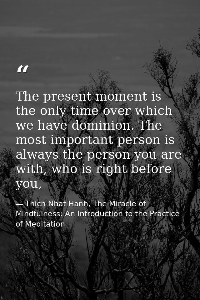 The present moment is the only time over which we have dominion. The most important person is always the person you are  — Thich Nhat Hanh, The Miracle of Mindfulness: An Introduction to the Practice of Meditation
