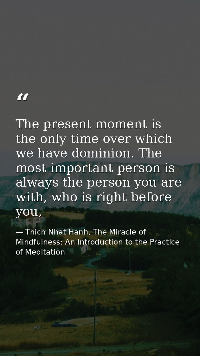 The present moment is the only time over which we have dominion. The most important person is always the person you are  — Thich Nhat Hanh, The Miracle of Mindfulness: An Introduction to the Practice of Meditation