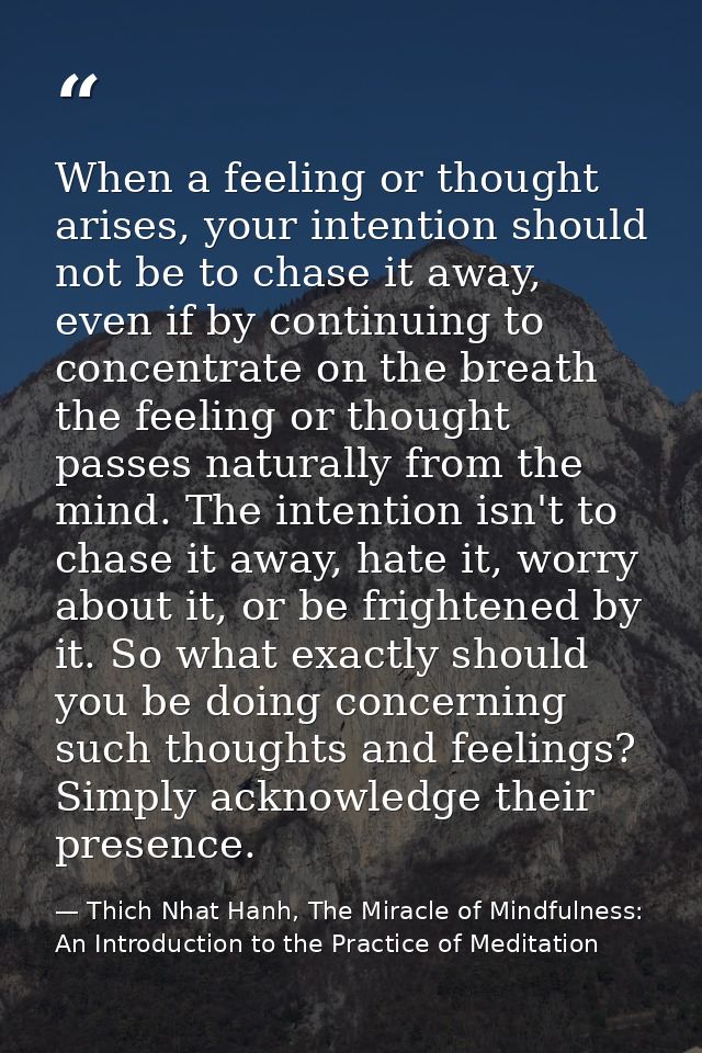 When a feeling or thought arises, your intention should not be to chase it away, even if by continuing to concentrate on — Thich Nhat Hanh, The Miracle of Mindfulness: An Introduction to the Practice of Meditation