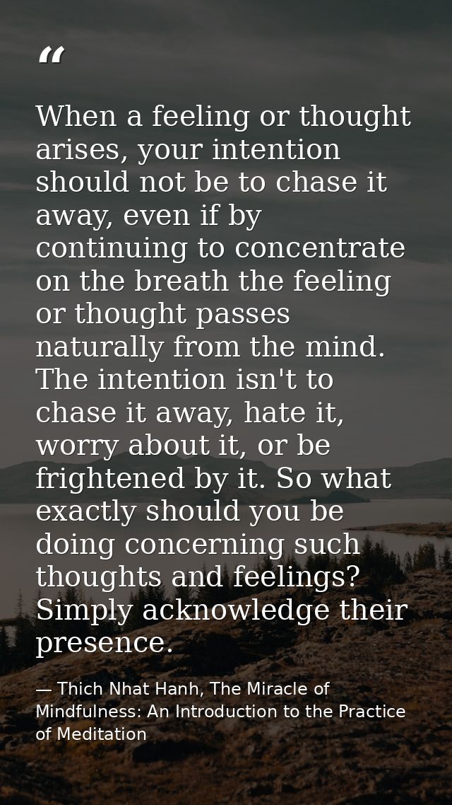 When a feeling or thought arises, your intention should not be to chase it away, even if by continuing to concentrate on — Thich Nhat Hanh, The Miracle of Mindfulness: An Introduction to the Practice of Meditation