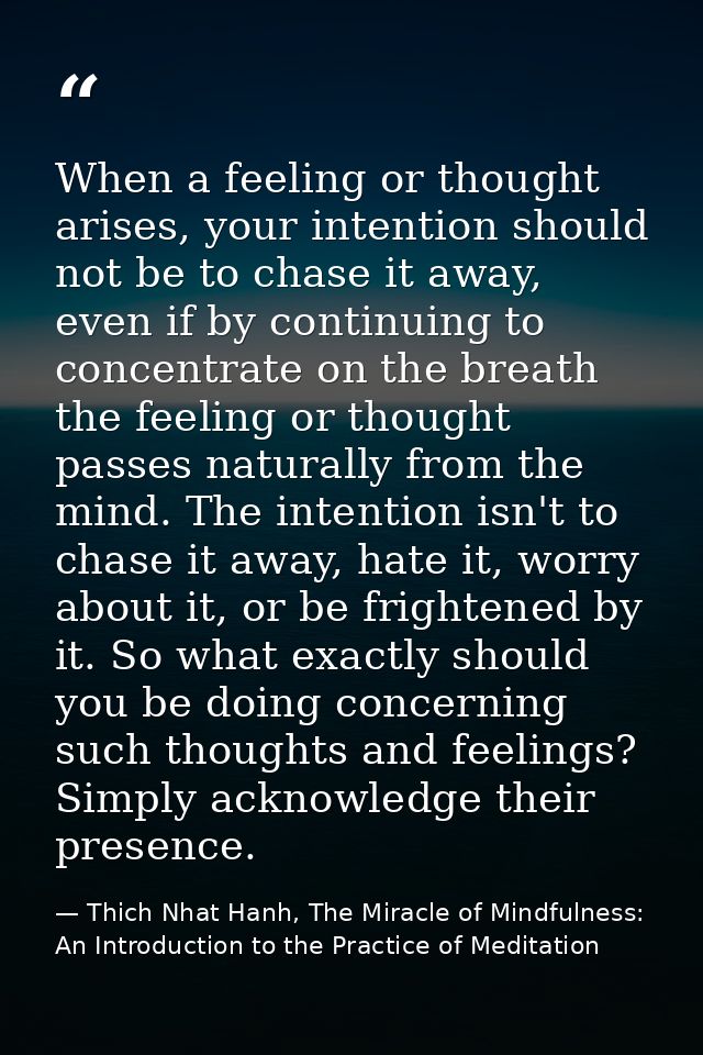 When a feeling or thought arises, your intention should not be to chase it away, even if by continuing to concentrate on — Thich Nhat Hanh, The Miracle of Mindfulness: An Introduction to the Practice of Meditation