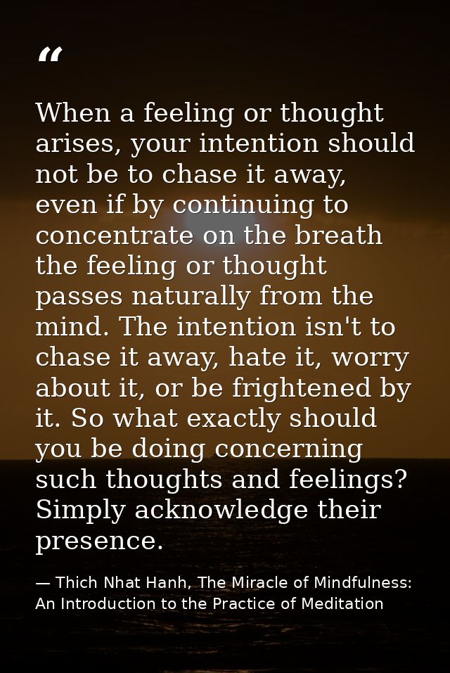 When a feeling or thought arises, your intention should not be to chase it away, even if by continuing to concentrate on — Thich Nhat Hanh, The Miracle of Mindfulness: An Introduction to the Practice of Meditation