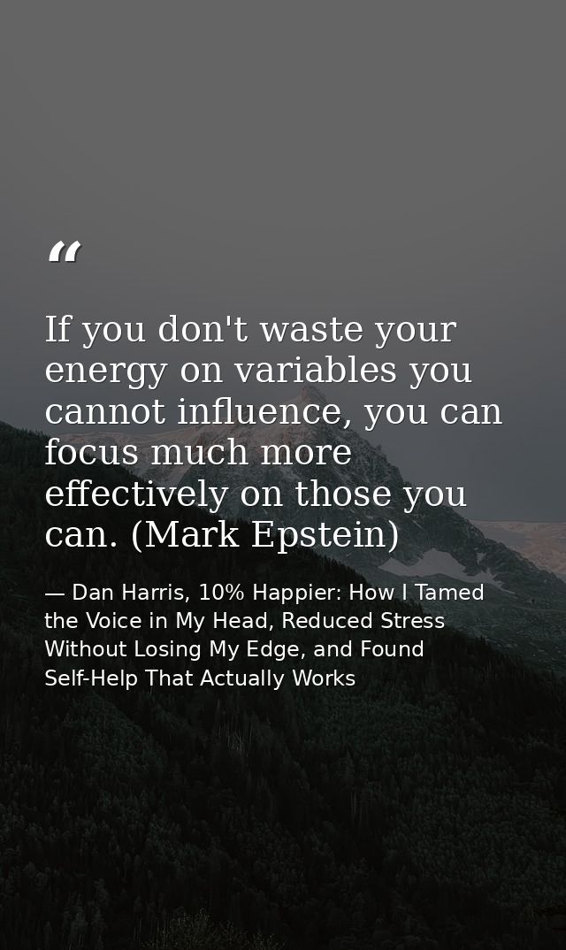 If you don't waste your energy on variables you cannot influence, you can focus much more effectively on those you can.  — Dan Harris, 10% Happier: How I Tamed the Voice in My Head, Reduced Stress Without Losing My Edge, and Found Self-Help That Actually Works