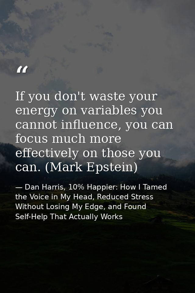 If you don't waste your energy on variables you cannot influence, you can focus much more effectively on those you can.  — Dan Harris, 10% Happier: How I Tamed the Voice in My Head, Reduced Stress Without Losing My Edge, and Found Self-Help That Actually Works