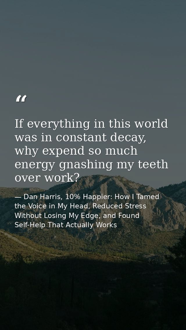 If everything in this world was in constant decay, why expend so much energy gnashing my teeth over work? — Dan Harris, 10% Happier: How I Tamed the Voice in My Head, Reduced Stress Without Losing My Edge, and Found Self-Help That Actually Works