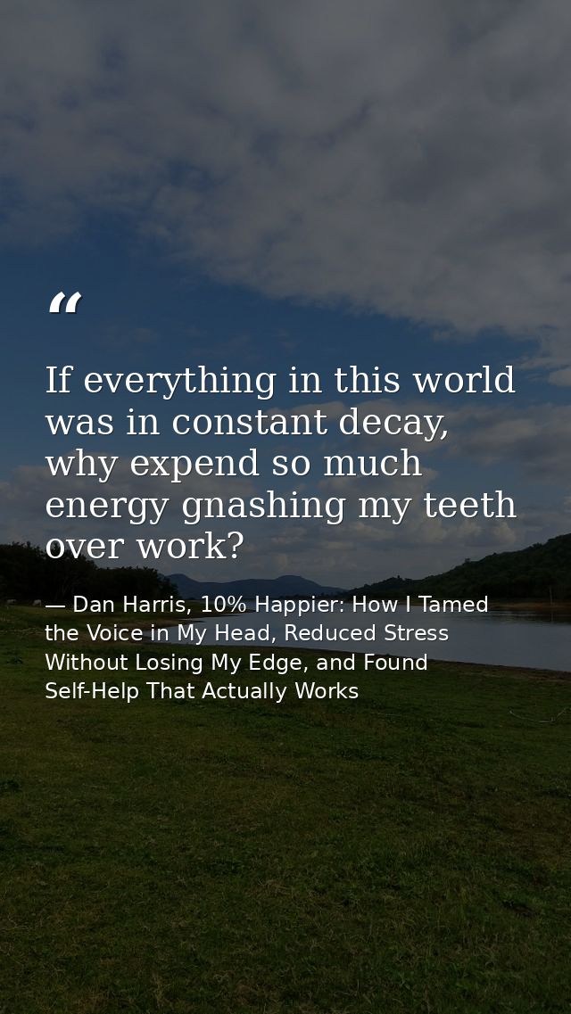 If everything in this world was in constant decay, why expend so much energy gnashing my teeth over work? — Dan Harris, 10% Happier: How I Tamed the Voice in My Head, Reduced Stress Without Losing My Edge, and Found Self-Help That Actually Works