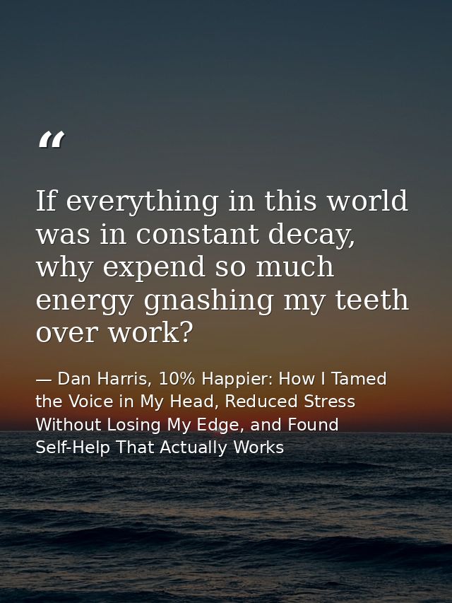 If everything in this world was in constant decay, why expend so much energy gnashing my teeth over work? — Dan Harris, 10% Happier: How I Tamed the Voice in My Head, Reduced Stress Without Losing My Edge, and Found Self-Help That Actually Works