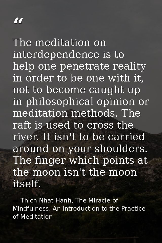 The meditation on interdependence is to help one penetrate reality in order to be one with it, not to become caught up i — Thich Nhat Hanh, The Miracle of Mindfulness: An Introduction to the Practice of Meditation
