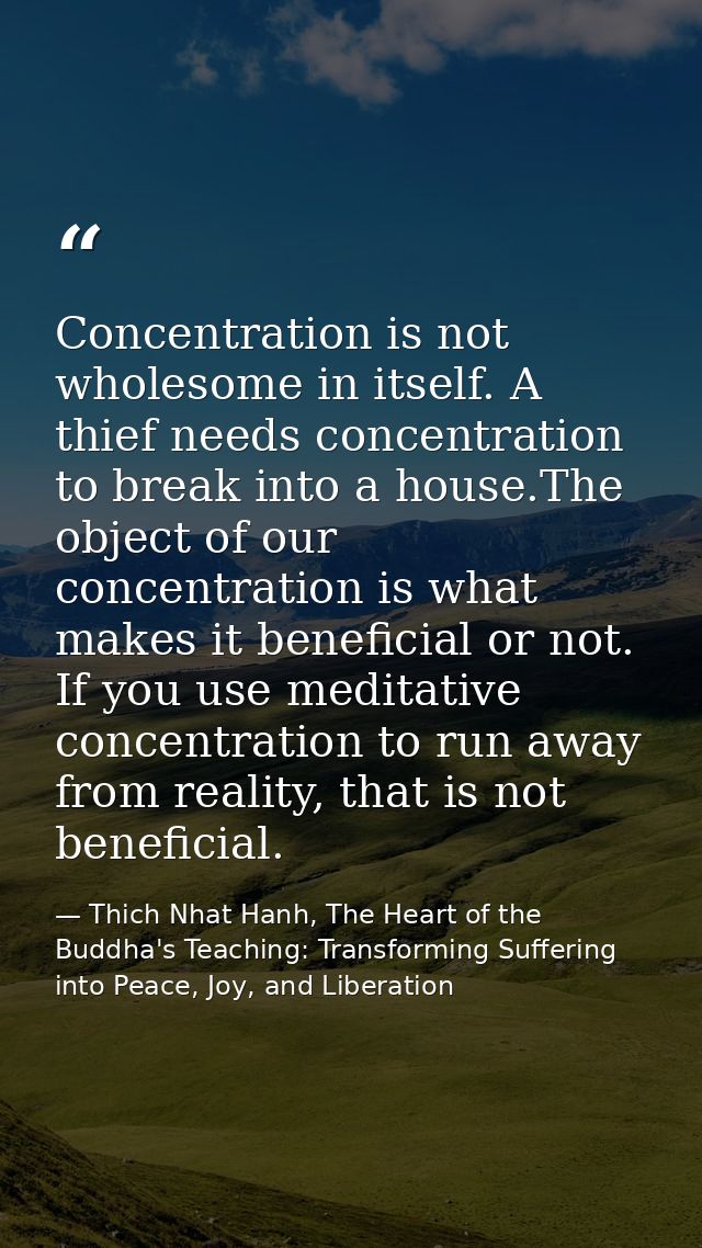 Concentration is not wholesome in itself. A thief needs concentration to break into a house.The object of our concentrat — Thich Nhat Hanh, The Heart of the Buddha's Teaching: Transforming Suffering into Peace, Joy, and Liberation