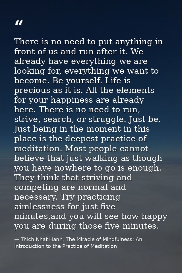 There is no need to put anything in front of us and run after it. We already have everything we are looking for, everyth — Thich Nhat Hanh, The Miracle of Mindfulness: An Introduction to the Practice of Meditation