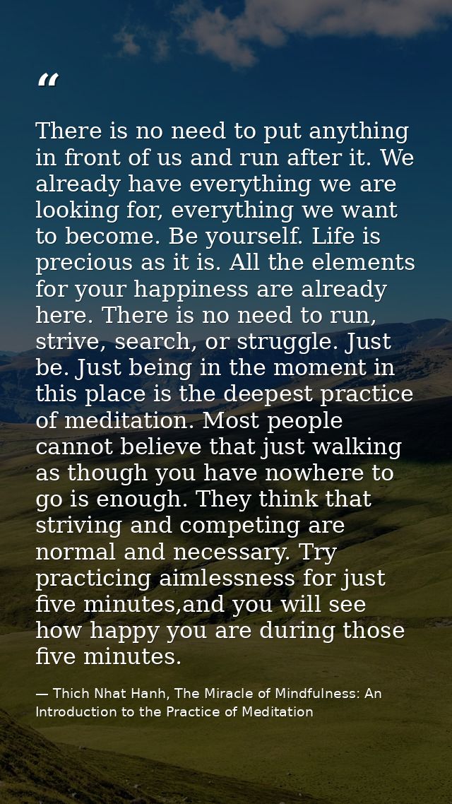 There is no need to put anything in front of us and run after it. We already have everything we are looking for, everyth — Thich Nhat Hanh, The Miracle of Mindfulness: An Introduction to the Practice of Meditation