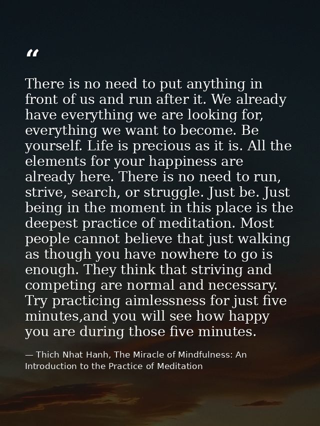 There is no need to put anything in front of us and run after it. We already have everything we are looking for, everyth — Thich Nhat Hanh, The Miracle of Mindfulness: An Introduction to the Practice of Meditation
