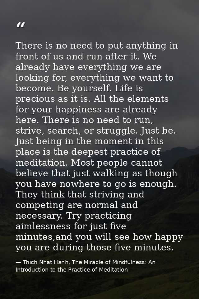 There is no need to put anything in front of us and run after it. We already have everything we are looking for, everyth — Thich Nhat Hanh, The Miracle of Mindfulness: An Introduction to the Practice of Meditation