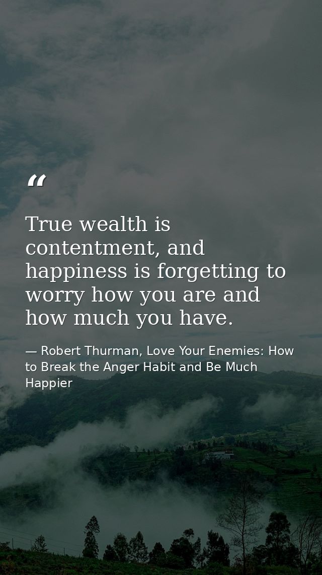 True wealth is contentment, and happiness is forgetting to worry how you are and how much you have. — Robert Thurman, Love Your Enemies: How to Break the Anger Habit and Be Much Happier