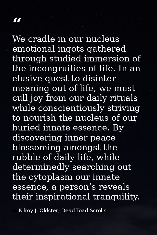 We cradle in our nucleus emotional ingots gathered through studied immersion of the incongruities of life. In an elusive — Kilroy J. Oldster, Dead Toad Scrolls