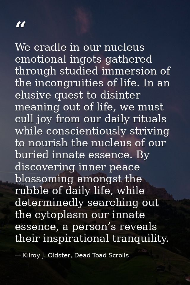 We cradle in our nucleus emotional ingots gathered through studied immersion of the incongruities of life. In an elusive — Kilroy J. Oldster, Dead Toad Scrolls