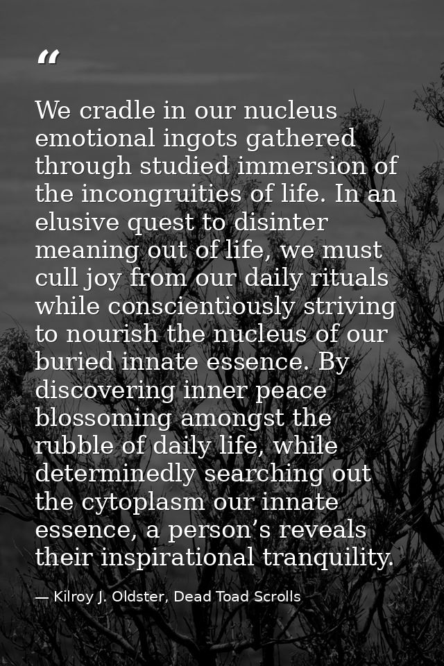 We cradle in our nucleus emotional ingots gathered through studied immersion of the incongruities of life. In an elusive — Kilroy J. Oldster, Dead Toad Scrolls