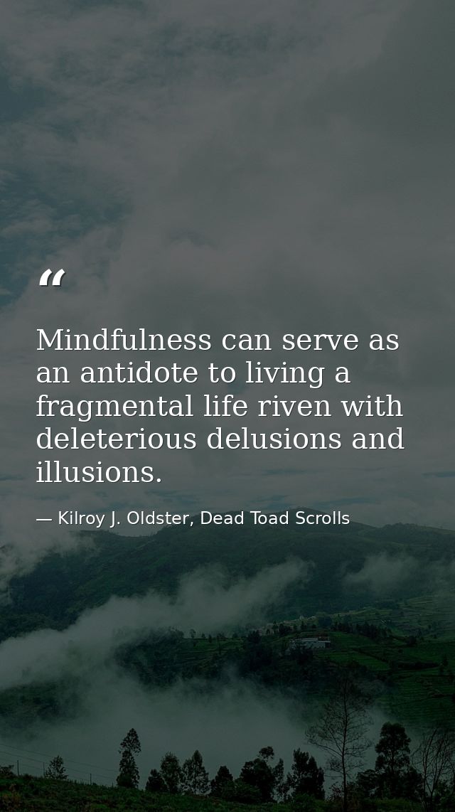 Mindfulness can serve as an antidote to living a fragmental life riven with deleterious delusions and illusions. — Kilroy J. Oldster, Dead Toad Scrolls