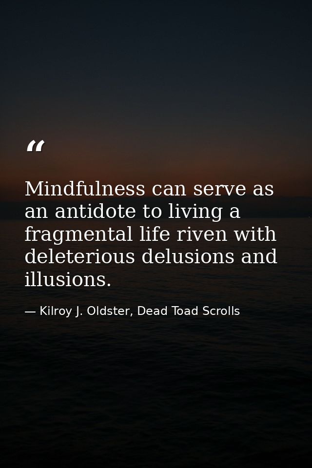Mindfulness can serve as an antidote to living a fragmental life riven with deleterious delusions and illusions. — Kilroy J. Oldster, Dead Toad Scrolls
