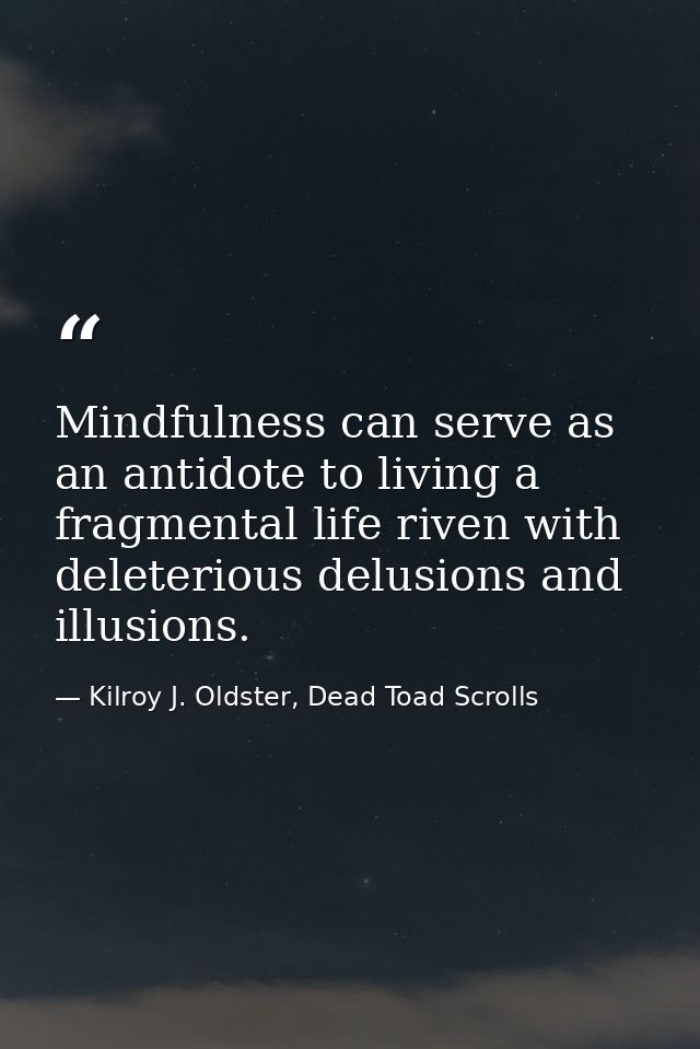 Mindfulness can serve as an antidote to living a fragmental life riven with deleterious delusions and illusions. — Kilroy J. Oldster, Dead Toad Scrolls