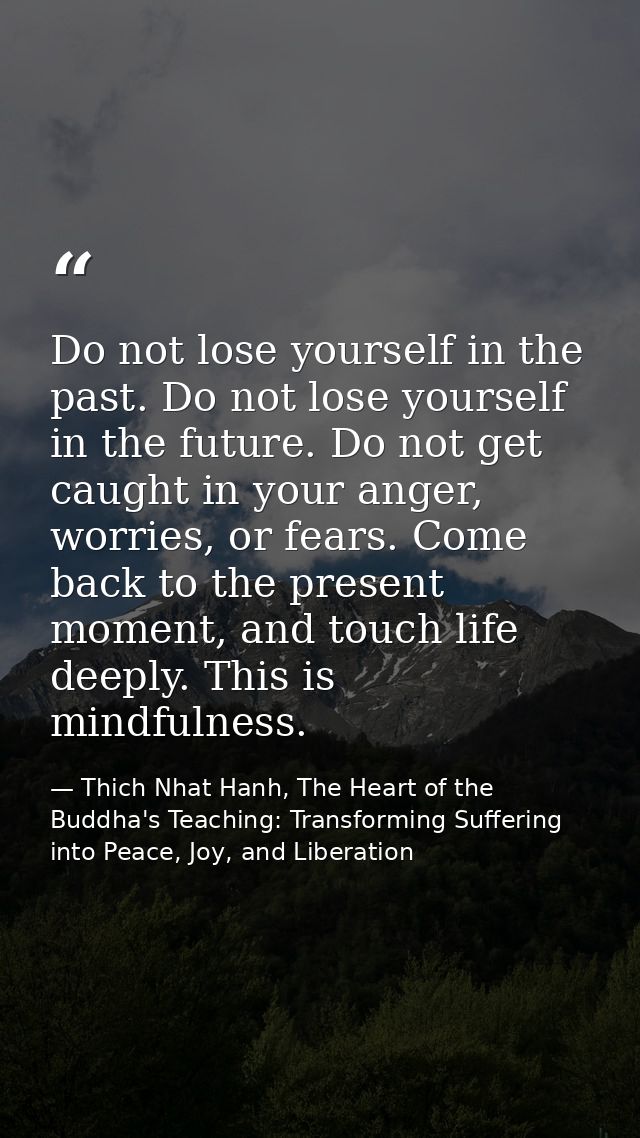 Do not lose yourself in the past. Do not lose yourself in the future. Do not get caught in your anger, worries, or fears — Thich Nhat Hanh, The Heart of the Buddha's Teaching: Transforming Suffering into Peace, Joy, and Liberation