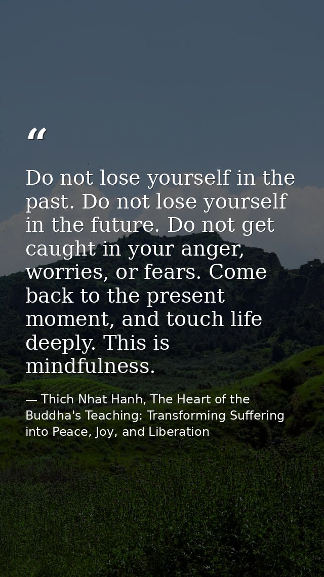 Do not lose yourself in the past. Do not lose yourself in the future. Do not get caught in your anger, worries, or fears — Thich Nhat Hanh, The Heart of the Buddha's Teaching: Transforming Suffering into Peace, Joy, and Liberation