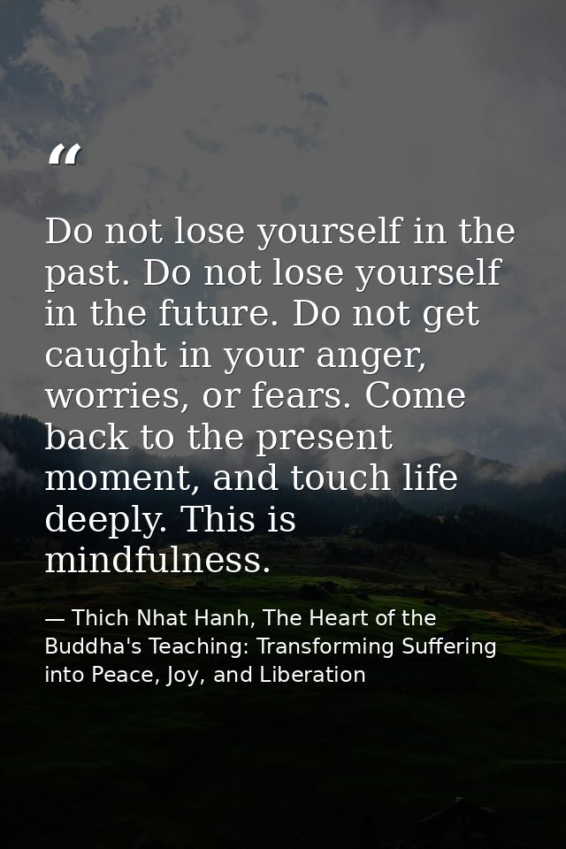 Do not lose yourself in the past. Do not lose yourself in the future. Do not get caught in your anger, worries, or fears — Thich Nhat Hanh, The Heart of the Buddha's Teaching: Transforming Suffering into Peace, Joy, and Liberation