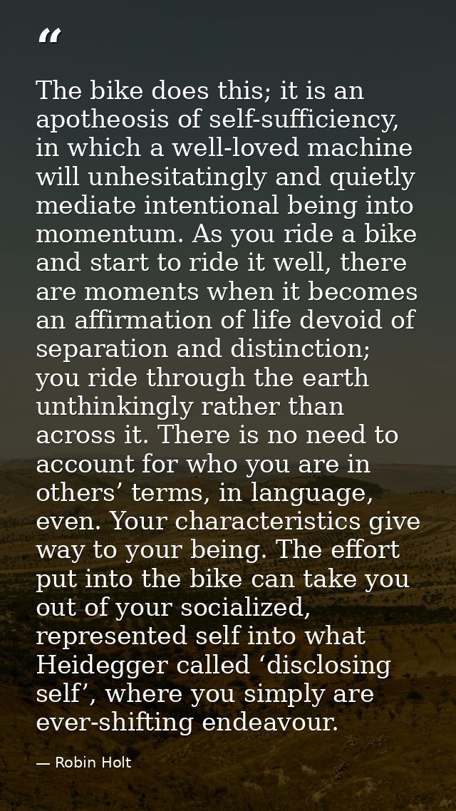 The bike does this; it is an apotheosis of self-sufficiency, in which a well-loved machine will unhesitatingly and quiet — Robin Holt