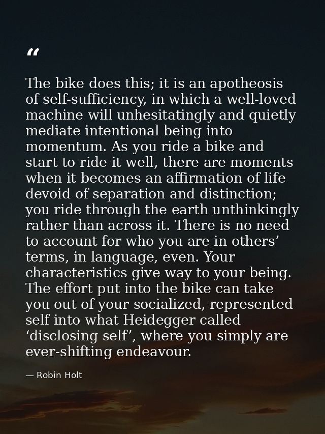 The bike does this; it is an apotheosis of self-sufficiency, in which a well-loved machine will unhesitatingly and quiet — Robin Holt