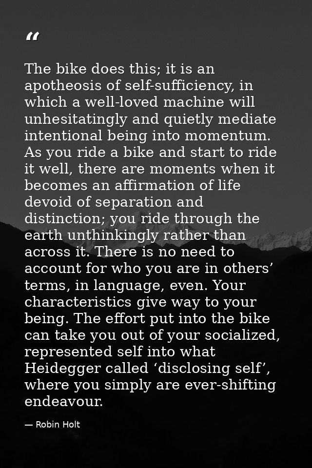 The bike does this; it is an apotheosis of self-sufficiency, in which a well-loved machine will unhesitatingly and quiet — Robin Holt