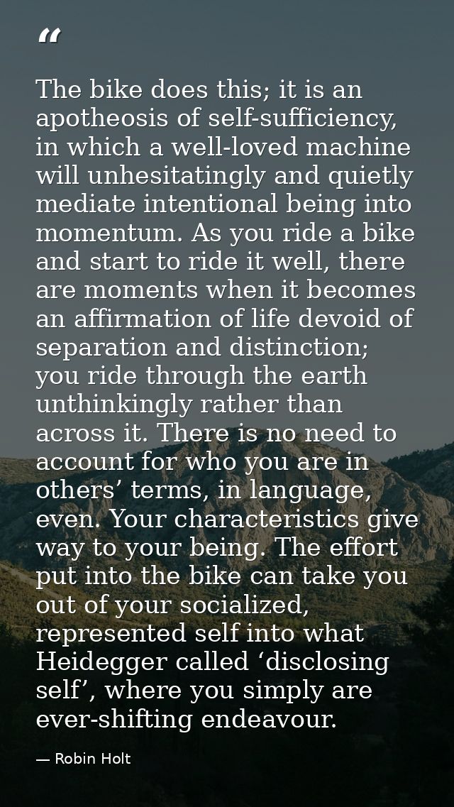 The bike does this; it is an apotheosis of self-sufficiency, in which a well-loved machine will unhesitatingly and quiet — Robin Holt