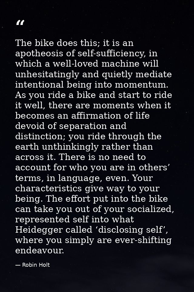 The bike does this; it is an apotheosis of self-sufficiency, in which a well-loved machine will unhesitatingly and quiet — Robin Holt