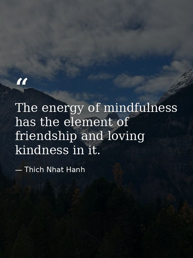 The energy of mindfulness has the element of friendship and loving kindness in it. — Thich Nhat Hanh