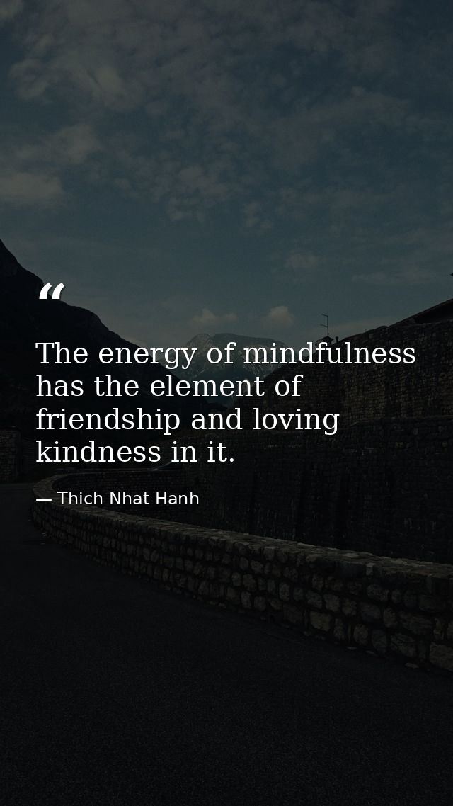 The energy of mindfulness has the element of friendship and loving kindness in it. — Thich Nhat Hanh