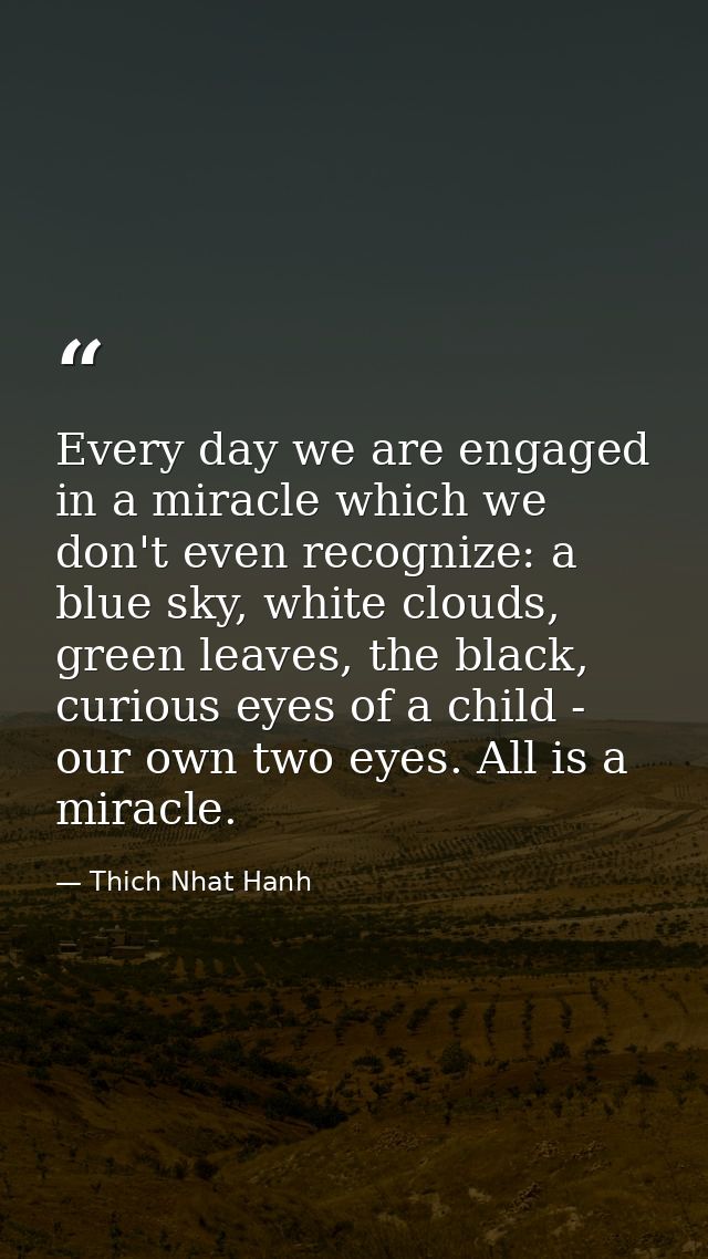 Every day we are engaged in a miracle which we don't even recognize: a blue sky, white clouds, green leaves, the black,  — Thich Nhat Hanh