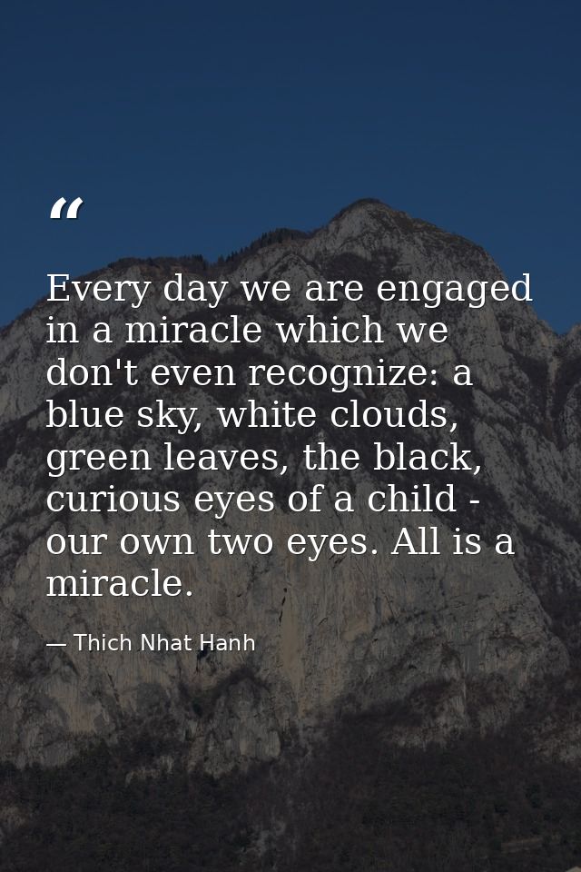 Every day we are engaged in a miracle which we don't even recognize: a blue sky, white clouds, green leaves, the black,  — Thich Nhat Hanh