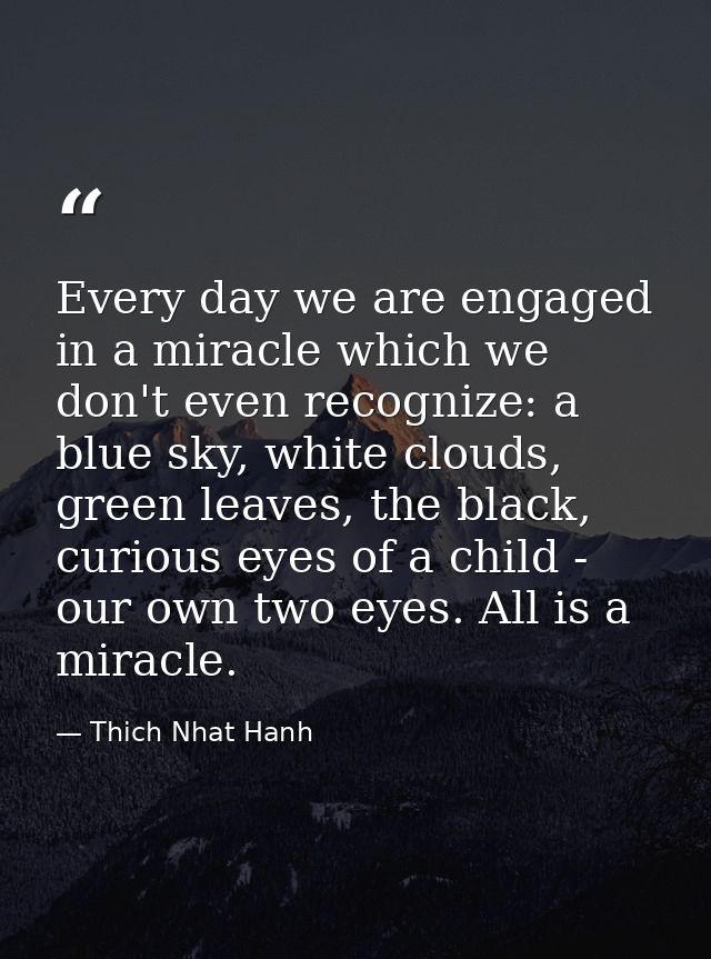 Every day we are engaged in a miracle which we don't even recognize: a blue sky, white clouds, green leaves, the black,  — Thich Nhat Hanh
