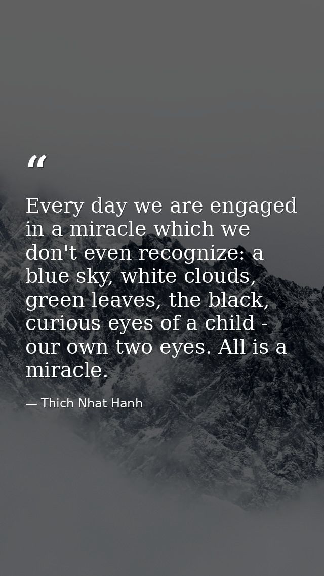 Every day we are engaged in a miracle which we don't even recognize: a blue sky, white clouds, green leaves, the black,  — Thich Nhat Hanh