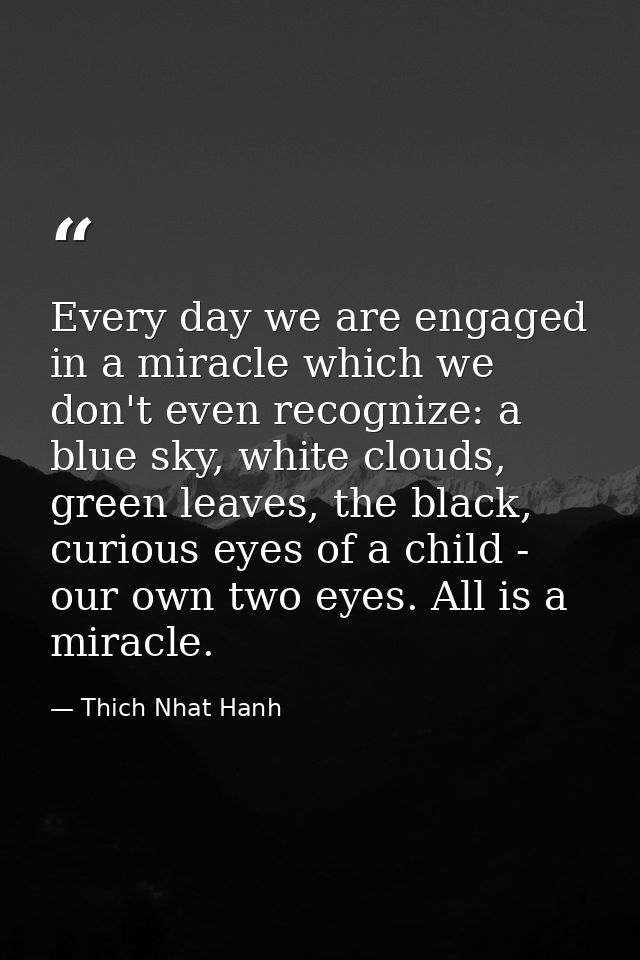 Every day we are engaged in a miracle which we don't even recognize: a blue sky, white clouds, green leaves, the black,  — Thich Nhat Hanh