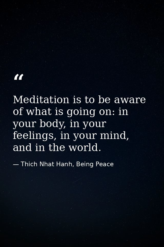 Meditation is to be aware of what is going on: in your body, in your feelings, in your mind, and in the world. — Thich Nhat Hanh, Being Peace