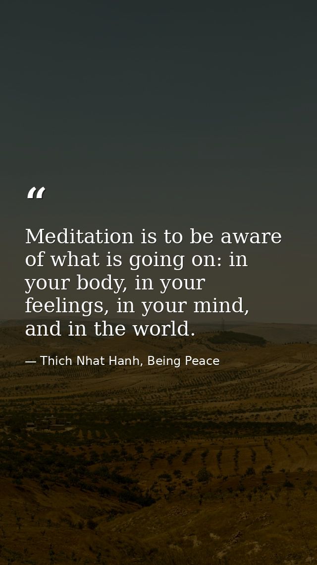 Meditation is to be aware of what is going on: in your body, in your feelings, in your mind, and in the world. — Thich Nhat Hanh, Being Peace