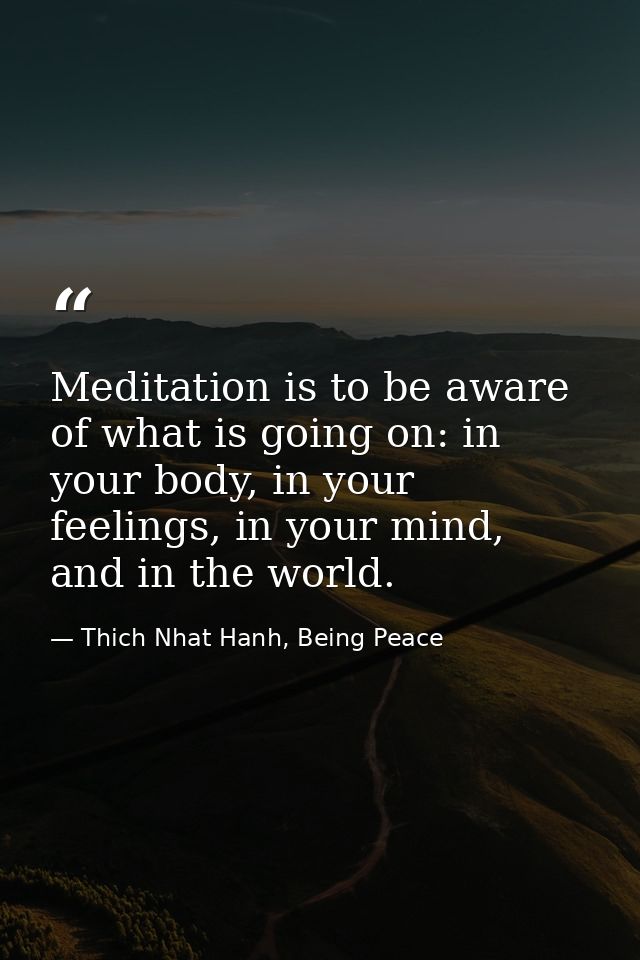 Meditation is to be aware of what is going on: in your body, in your feelings, in your mind, and in the world. — Thich Nhat Hanh, Being Peace