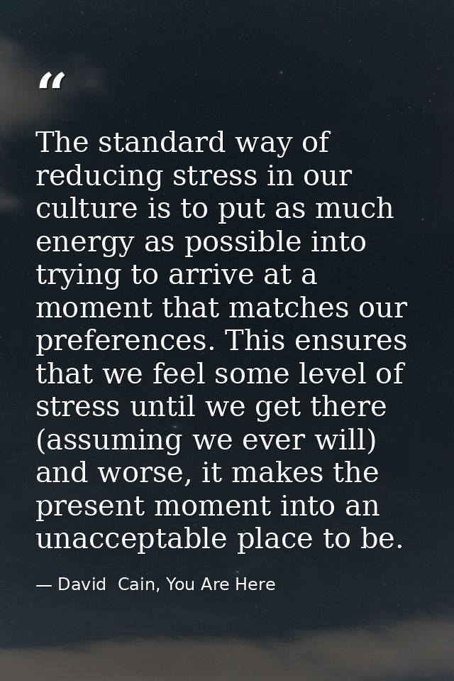 The standard way of reducing stress in our culture is to put as much energy as possible into trying to arrive at a momen — David  Cain, You Are Here