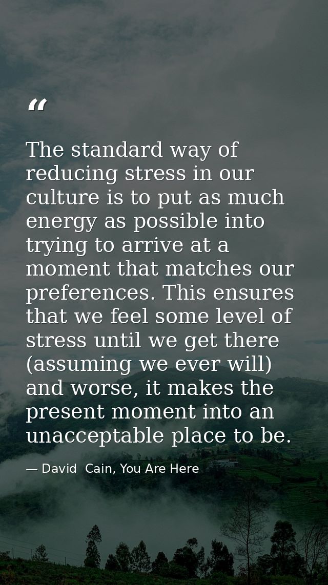The standard way of reducing stress in our culture is to put as much energy as possible into trying to arrive at a momen — David  Cain, You Are Here