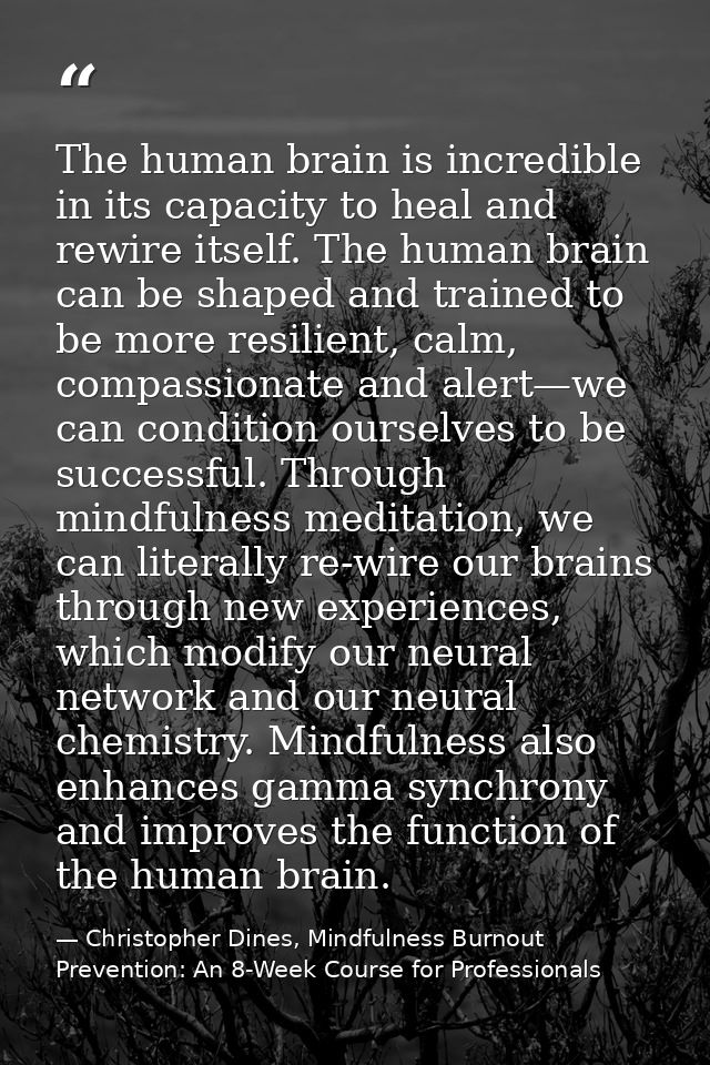 The human brain is incredible in its capacity to heal and rewire itself. The human brain can be shaped and trained to be — Christopher Dines, Mindfulness Burnout Prevention: An 8-Week Course for Professionals